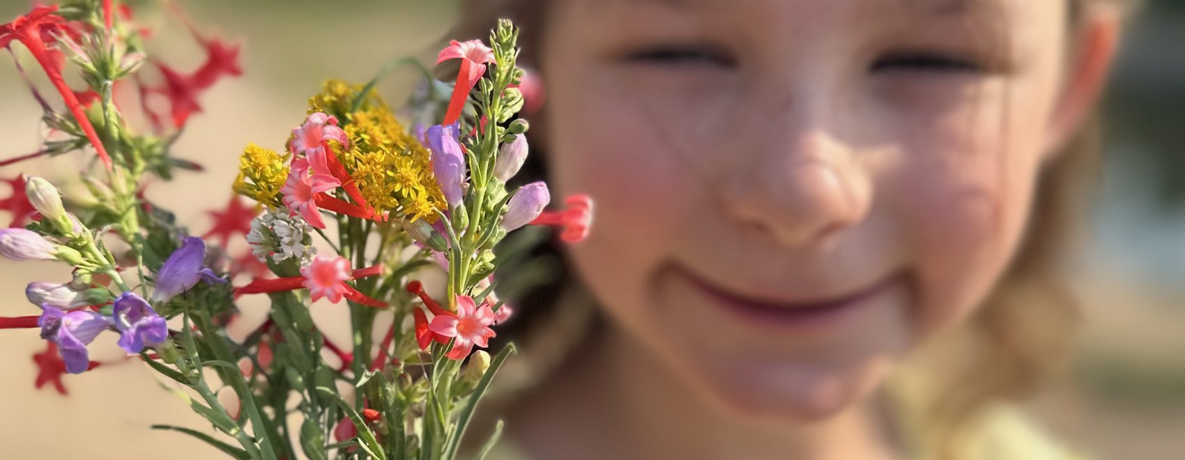 Monument Glamping | Wildflowers in a Drought Year: A Morning Walk Near Monument Glamping Monument Glamping | Wildflowers in a Drought Year: A Morning Walk Near Monument Glamping